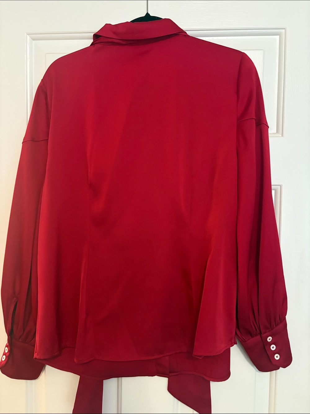 Riley & Rae Red Tie-Neck Button-Down Blouse - Picture 4 of 4